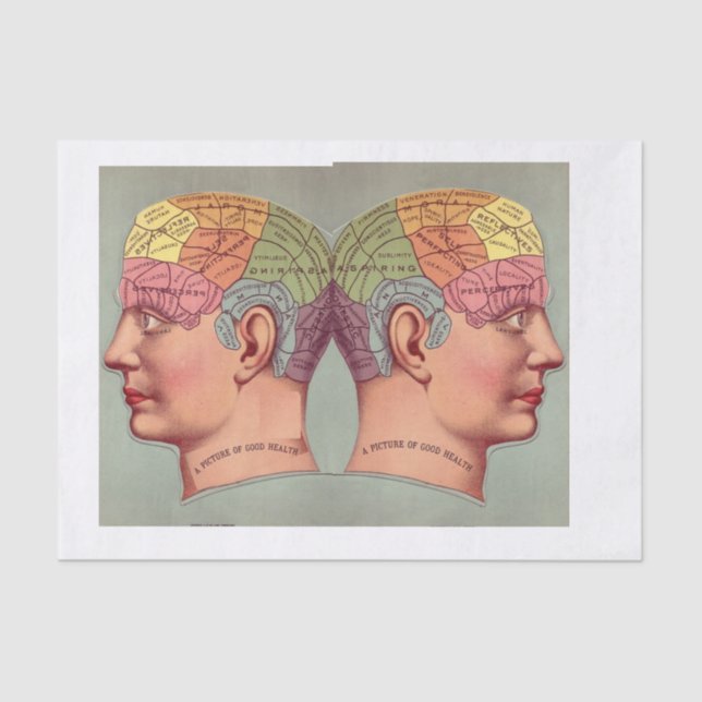 Picture of Perfect Health Vintage Anatomy Tissue Paper (Front)