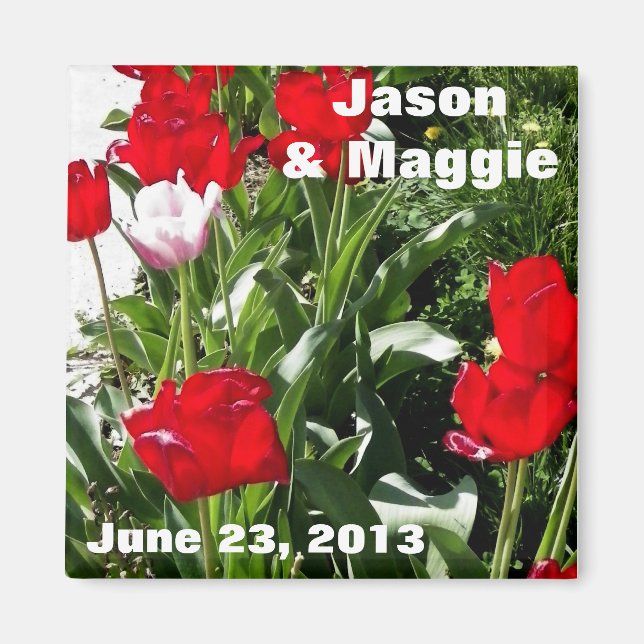 Picture of Red Tulips Save the Date Magnet (Front)