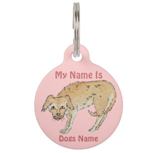 picture of scruffy mixed breed dog pet tag