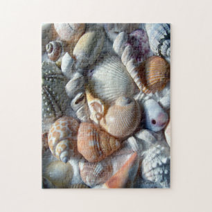 Picture of Seashells Puzzle