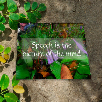 Picture of the mind wisdom greenery poster