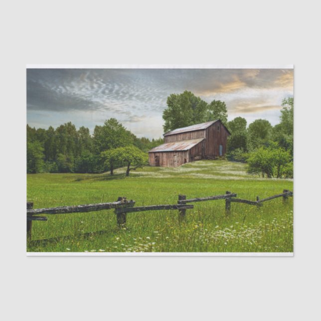 Picture Perfect Barn Nestled in a Summer Meadow Tissue Paper (Front)