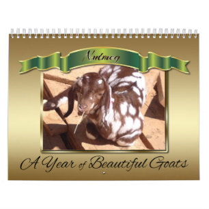 Picture Perfect Photo Calendar Beautiful Goats