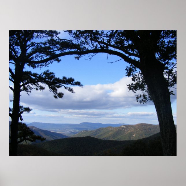 Picture Perfect View Poster (Front)