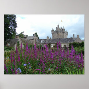 Picture Purple Poster