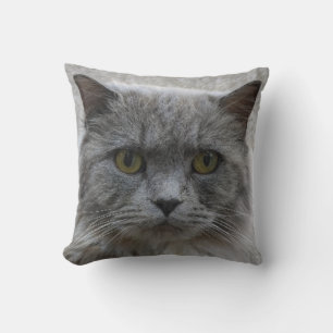 Picture sad adult grey cat,rare breed, cat lovers cushion