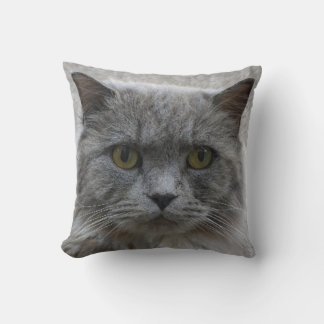 Picture sad adult grey cat,rare breed, cat lovers cushion