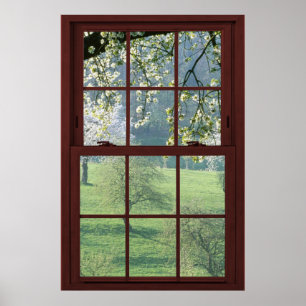 Picture Window Landscape - Cherry Blossoms. Poster