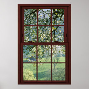 Picture Window Landscape - Cherry Blossoms. Poster