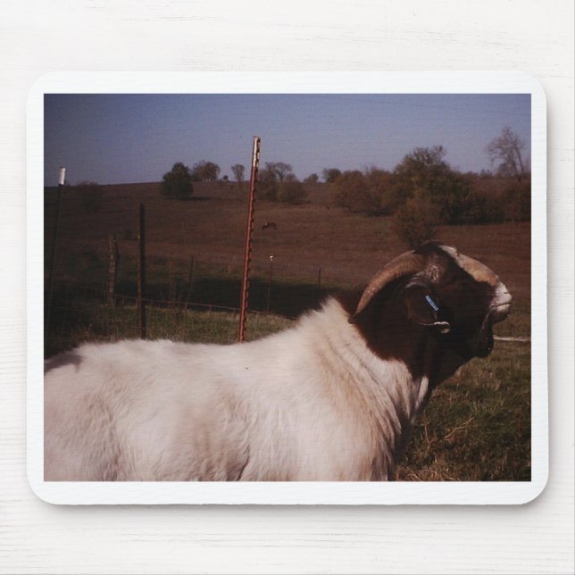 pictures024 mouse pad (Front)