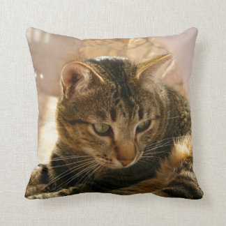 Pictures of cats gifts pillows throw pillows cats
