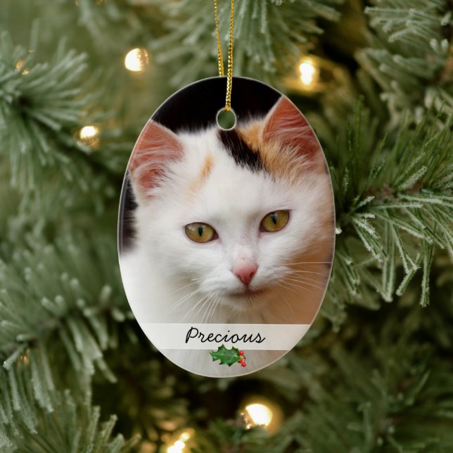 Pictures of Pets, Double-Sided Ornament (Tree)