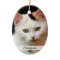 Pictures of Pets, Double-Sided Ornament