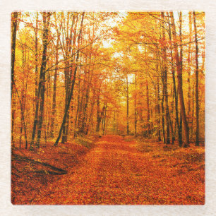 Picturesque Autumn Way Landscape Glass Coaster