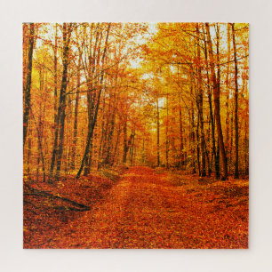 Picturesque Autumn Way Landscape Jigsaw Puzzle