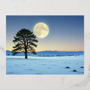 Picturesque Landscape Winter Moon Nature Tranquil Foil Holiday Postcard