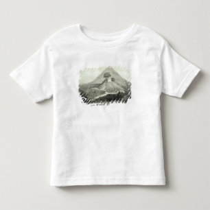 Picturesque view at the Temple of the Cross, Palen Toddler T-Shirt