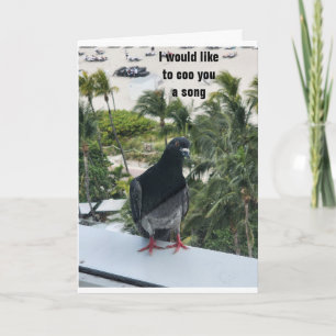 PIDGEON COOING *HAPPY BIRTHDAY* TO YOU! CARD