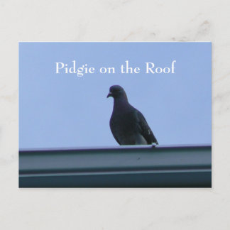 Pidgie on the Roof Postcard