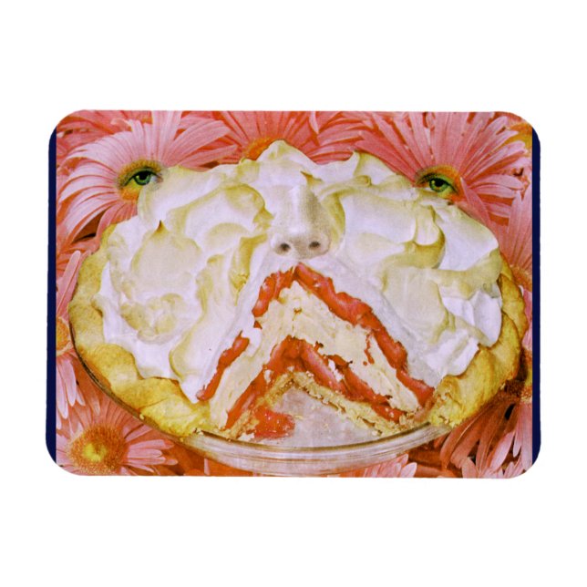 Pie Face Magnet (Horizontal)