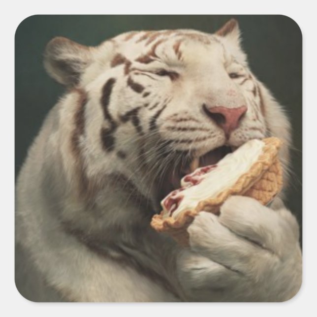Pie-Loving White Tiger – Fun Sticker (Front)