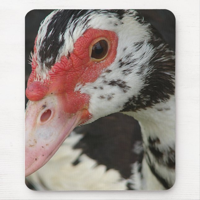 Pie says, "Hi!" Mouse Pad (Front)