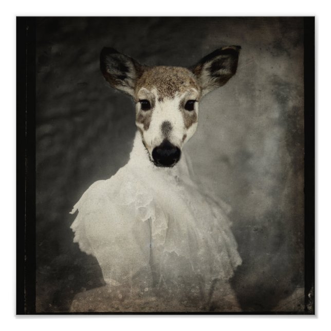 Piebald Deer In Dress Photo Print (Front)