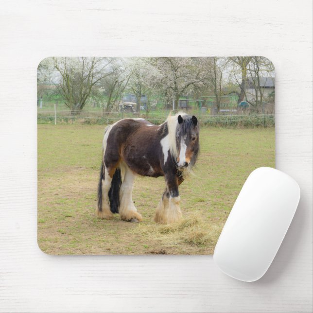 Piebald horse in the pasture mouse pad (With Mouse)