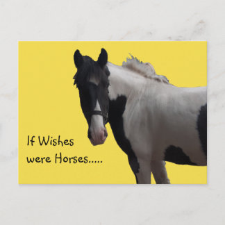 Piebald Paint Pony Wishes Yellow Photo Postcard