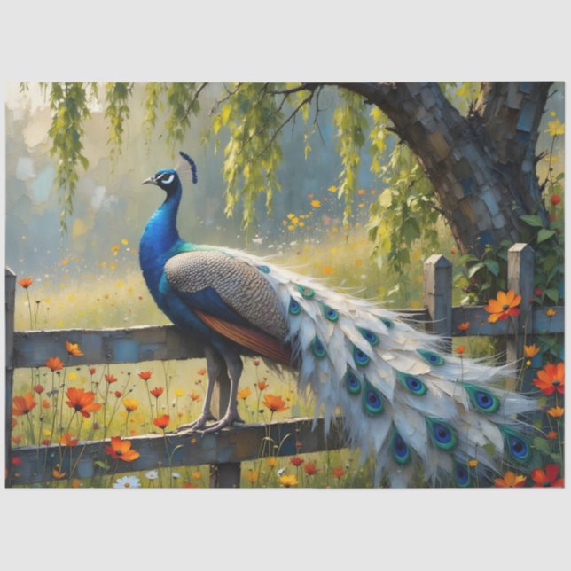 Piebald Peacock on Split rail fence Tissue Paper (Front)