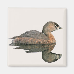 Pied-Billed Grebe Magnet