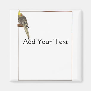 Pied Cockatiel on a Branch with White Magnet