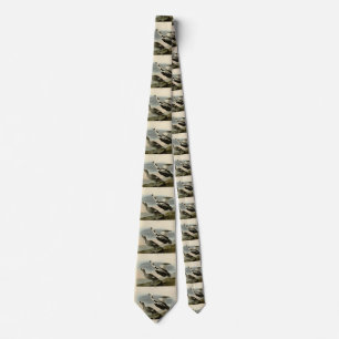 Pied Duck (Labrador Duck) Audubon Birds of America Tie
