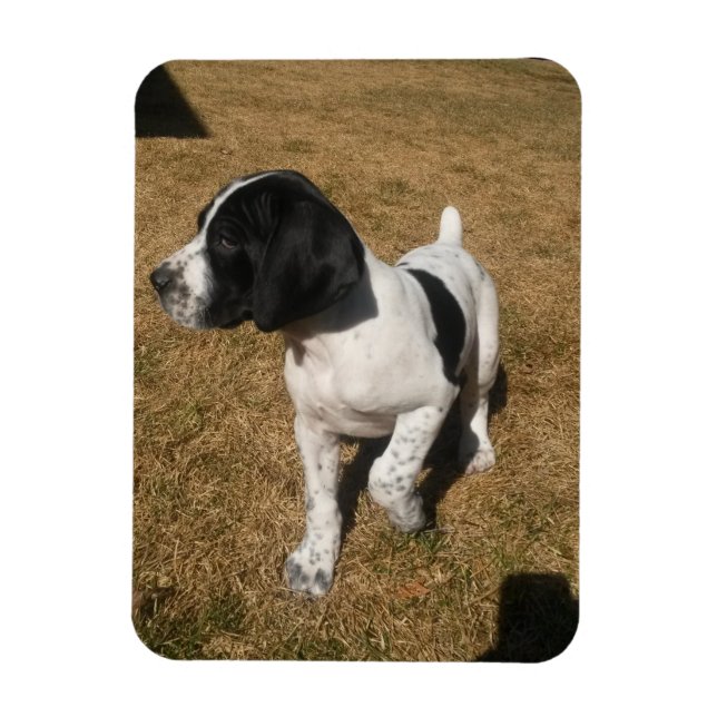 Pied Piper Magnet (Vertical)