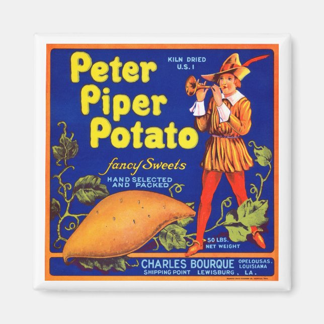 Pied Piper Potato Magnet (Front)