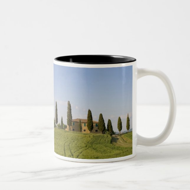 Pienza, Val d'Orcia, Siena province, Tuscany, Two-Tone Coffee Mug (Right)