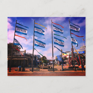 Pier 39 Sea Lion Statue #3 Postcard