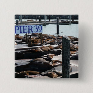 Pier 39 Sea Lions 15 Cm Square Badge