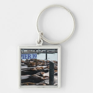 Pier 39 Sea Lions Key Ring