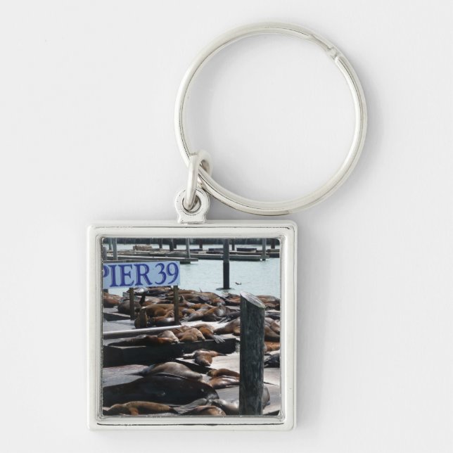 Pier 39 Sea Lions Key Ring (Front)