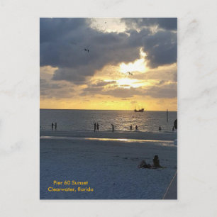 Pier 60 at Sunset Postcard