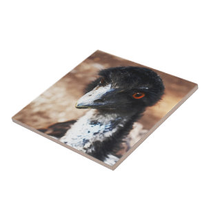 Piercing Eyes of the Outback Ceramic Tile