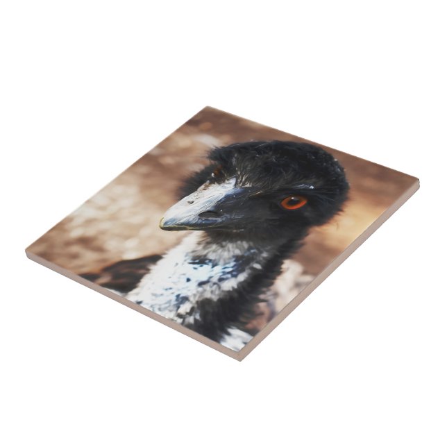 Piercing Eyes of the Outback Ceramic Tile (Side)