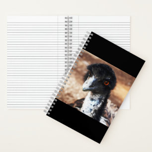Piercing Eyes of the Outback Notebook