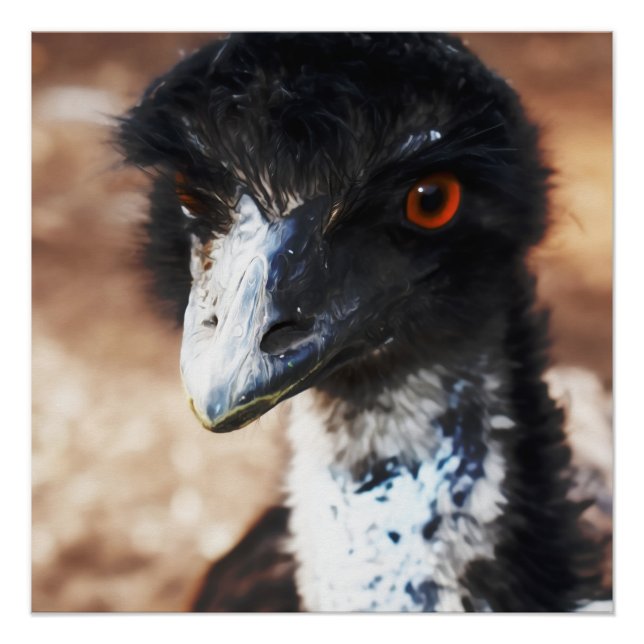 Piercing Eyes of the Outback Poster (Front)
