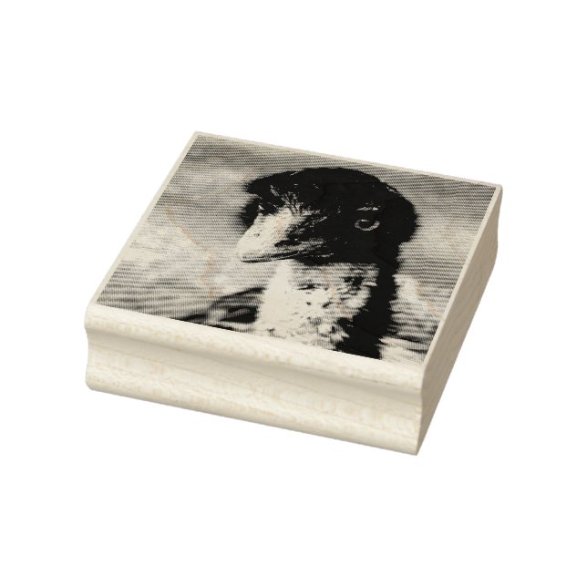 Piercing Eyes of the Outback  Rubber Stamp (Stamp)