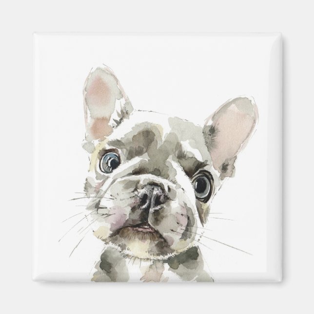 Pierre, French Bulldog puppy Magnet (Front)
