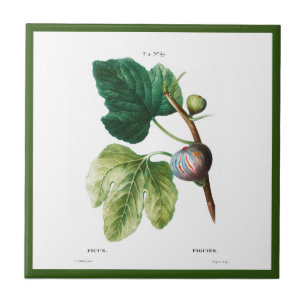 PIERRE-JOSEPH REDOUTÉ "FIGS" CERAMIC TILE