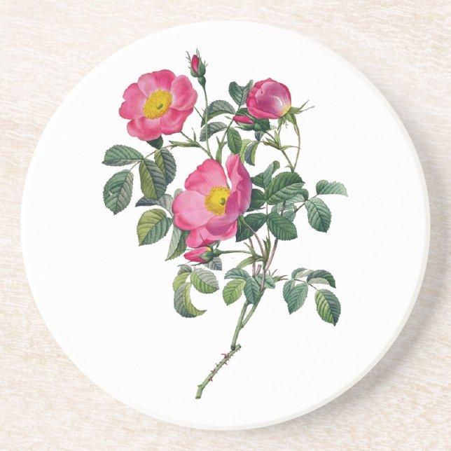 Pierre Joseph Redoute Roses Coaster (Front)
