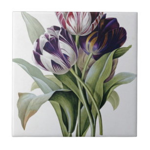 Pierre Joseph Redoute - Tulips Ceramic Tile